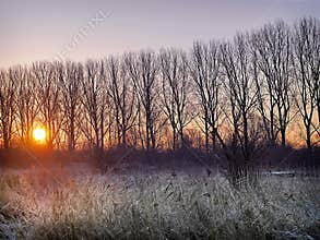 Sunrise over a Frosty River Bank