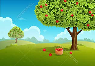 Apple orchard illustration