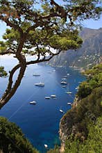 Island of Capri