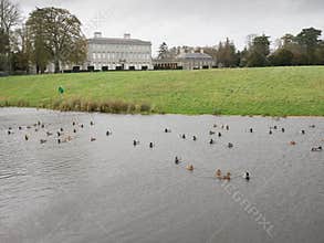 Castletown Estate, Celbridge, Kildare,Ireland