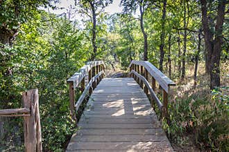 Walking Bridge at Inks Lake