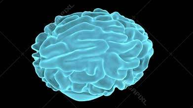 Brainstorm concept with seamless rotating brain