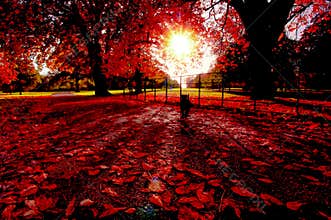 An autumn afternoon in London