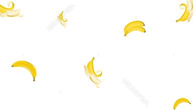 Banana fruit falling in looping