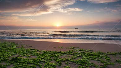 Beautiful sunrise over the sea. Splashing waves on the beach, video.