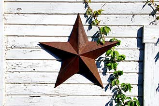 Rusted star and green vine