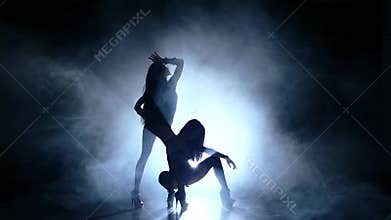 Young woman striptease dancer in erotic show