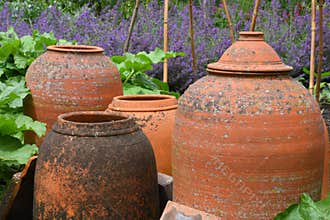 Old Large Terracotta Containers in Flower Border, Tintinhull Garden, Somerset, England, UK