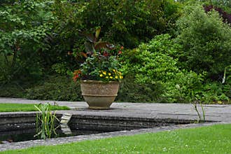 Colourful Flowers in Terracotta Pot by Pond, Tintinhull Garden, Somerset, England, UK