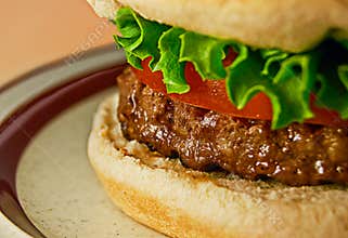 The Burger Symphony: Juicy Delight on Classic Plate