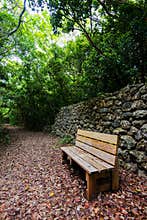Wood bench