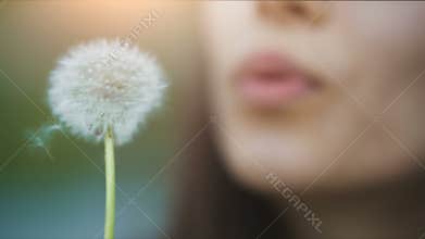 Lips of a woman Blowing on a Dandelion