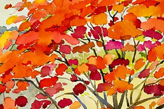Abstract watercolor landscape original painting red color of peacock flowers