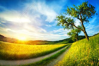 Idyllic rural landscape at sunset