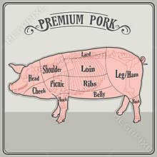 Butcher Pig.