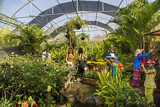 Bai Orchid and Butterfly Farm at Chiang Mai, Thailand