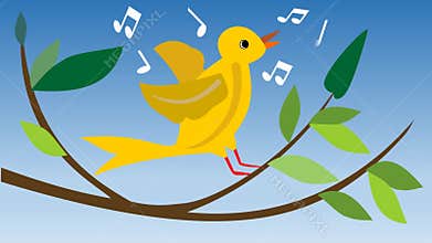 Animated yellow canary-bird. Singing canary-bird on branch with green leaves. Cute summer cartoon animation with bird.