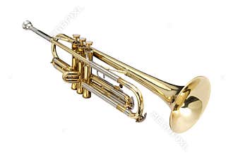 Brass Trumpet