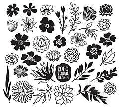 Boho black decorative plants and flowers collection.