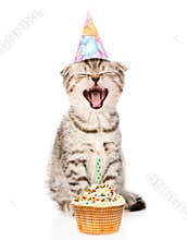 Laughing cat cat with birthday hat and cake. isolated on white