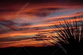 Sunset at Sotol Vista