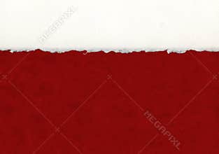 Deckled Paper Detail