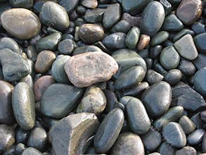 Nature Rocks