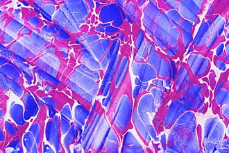 Traditional Turkish marbled paper artwork