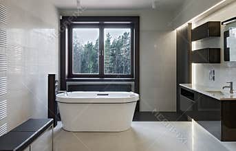 Luxury bathroom interior