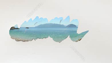 Artist brush painting