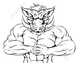Tough boar mascot