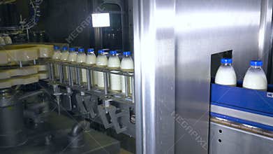 Fresh dairy products, bottles moving on a conveyor. Milk products plant.