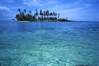 Palm Tropical Island