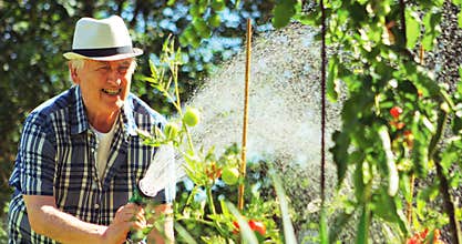 Senior man spraying water on plant