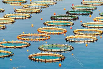 Fish farming in Myrtoan Sea