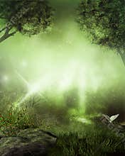 Dreamland