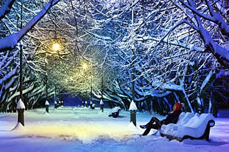 Winter Park at Night