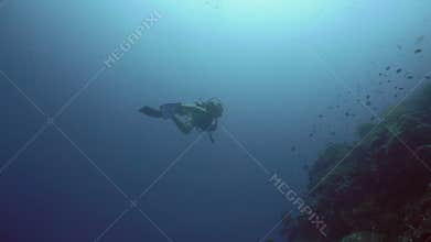Scuba Diver underwate.