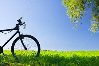 Mountain bicycle