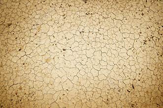 Dry cracked dirt