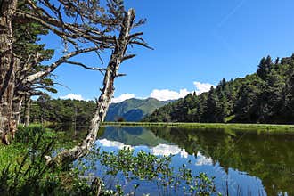 Aran valley in the Catalan Pyrenees, Spain