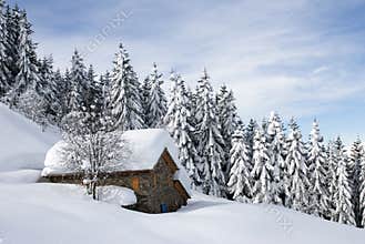 Alpine hut under snow