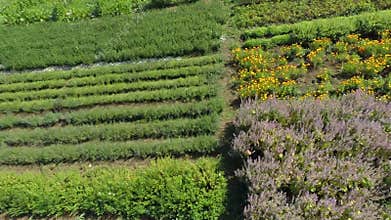 Gardens in the countryside