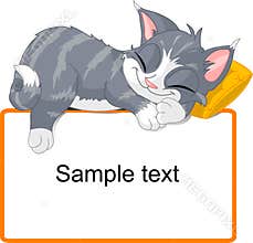 Sleeping cat