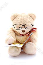 Teddy bear reading