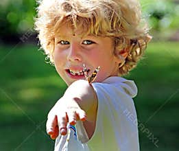 Butterfly boy