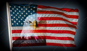 Always vigilant american flag and bald eagle dark background