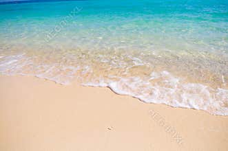 Tropical beach with white coral sand