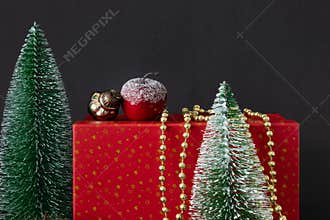 Seasonal holiday Christmas decoration red gift box