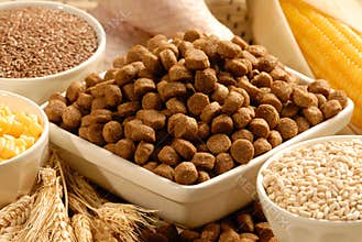 Dog Food and ingredients